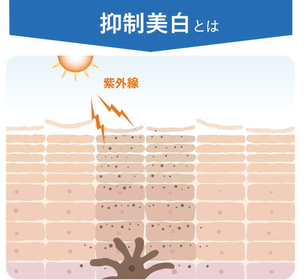 抑制美白とは